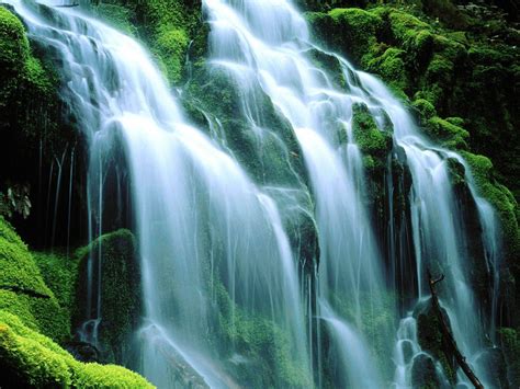Download Nature Waterfall Wallpaper
