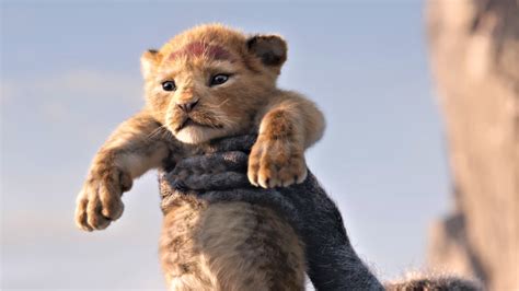 Le Roi Lion 2019 Streaming Vf Film En Streaming Hd Sur 𝐏𝐀𝐏𝐘𝐒𝐓𝐑𝐄𝐀𝐌𝐈𝐍𝐆