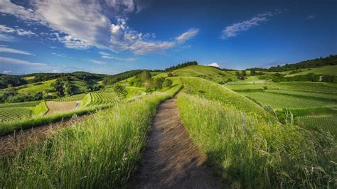 Countryside Grass Fields Scenery Wallpapers Wallpaper Cave