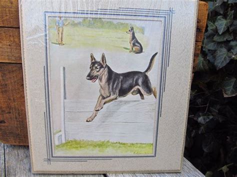 Vintage Matted Dog Print German Shepher Dog By Vintagetrixie Old