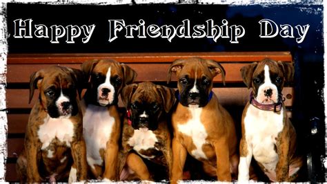 Happy Friendship Day Aniamls Wishes Cards Ecards Wallpaper And