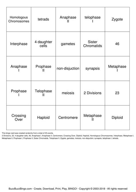 Meiosis Bingo Cards To Download Print And Customize