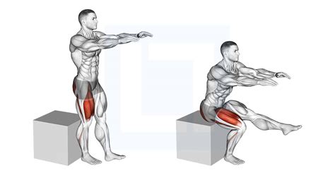 Pistol Squat To Box Guide Benefits And Form