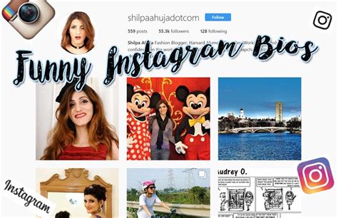 250 Funny Instagram Bios Cool Ig Bio Quotes For An Irresistible Profile