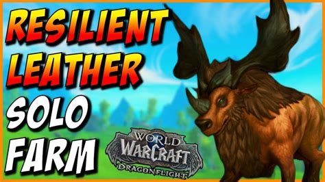 Best Resilient Leather Farm Wow Dragonflight Skinning Farming Youtube