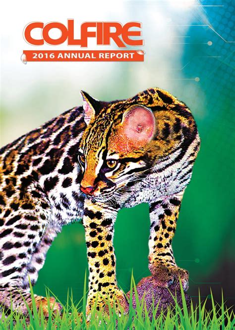 To improve the lives of our members. Colfire annual report 2016 by KD Productions - Issuu