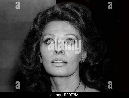 Sophia Loren Undated Photo By John Barrett Photolink Stock Photo Alamy