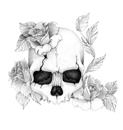 Skullnroses By Skrzynia Skull Art Drawing Skulls Drawing Skull Drawing