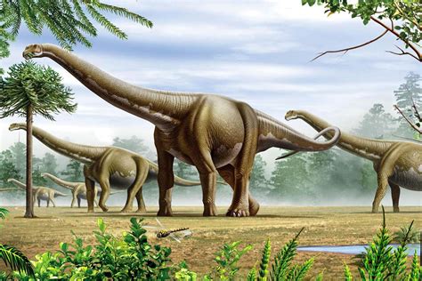 Secret To Dinosaurs Huge Size May Be In Unusually Lightweight Bones