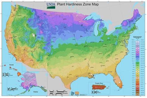 Find Your Growing Zone Gardenologist
