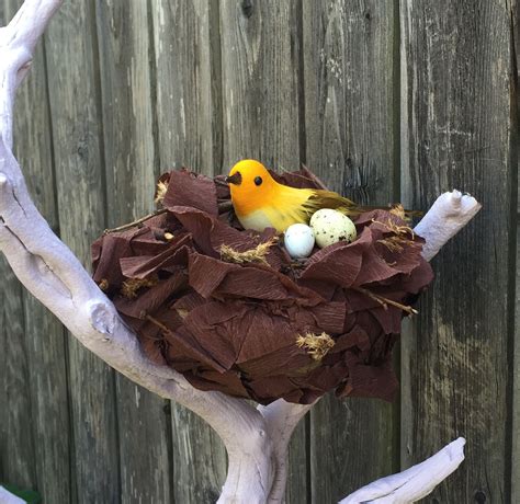 M Ann M Birds Nest Inspiration
