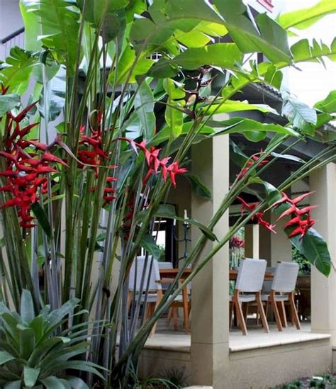 30 Amazing And Beautiful Tropical Garden Ideas 22 Gardenideazcom
