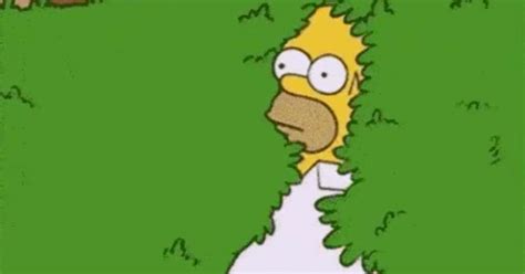 Homer Simpson Uses His Own Backing Into Bushes  On The Simpsons Huffpost Entertainment