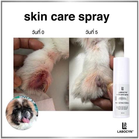Labocyn Skin Care Spray สเปรย์ดูแลผิวหนังสำหรับสัตว์เลี้ยง สำหรับสัตว์