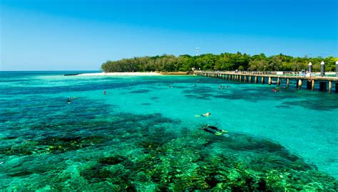 It covers total area of 715,309 sq mi and has estimated population of 4,516,361(census 2010). Far North Queensland - Australia's playground - WYZA