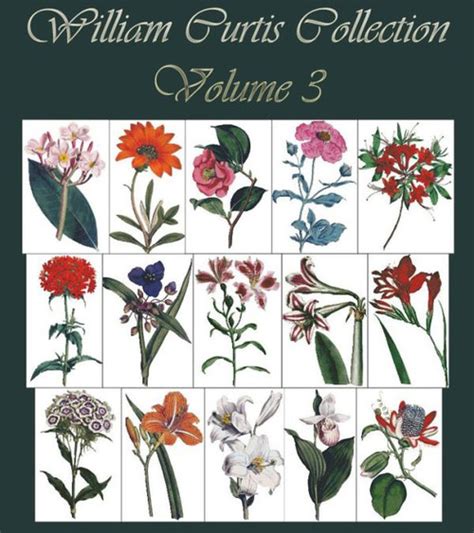 William Curtis Botanical Print Collection Volume 3 Pinoystitch