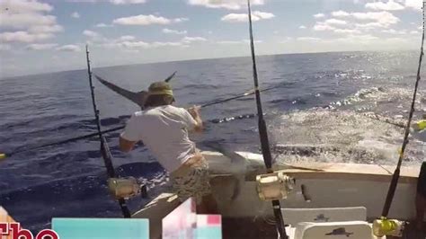 See Huge Marlin Nearly Impale Fisherman Cnn Video