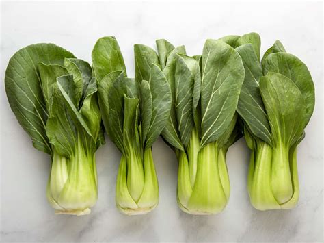 What Is Bok Choy