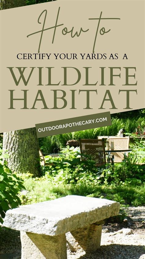 How To Turn Your Yard Into An Amazing Certified Wildlife Habitat And