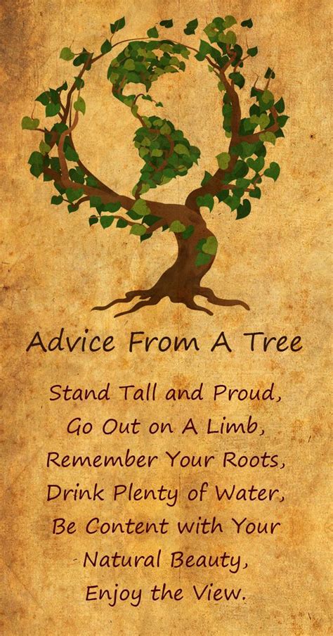Advice From A Tree Nature Quotes Trees Tree Of Life Quotes Tree Quotes