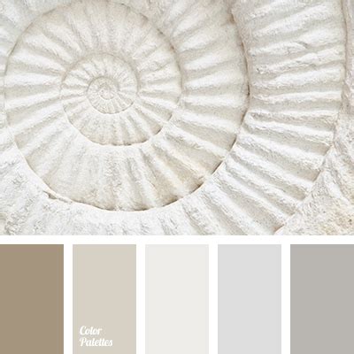 If you are looking for colour schemes with particular color codes, simply enter those. Color Palette #2769 (Color Palette Ideas) | Grey color ...