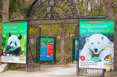 Gerbang Masuk Kebun Binatang Schonbrunn Foto Stok Unduh Gambar