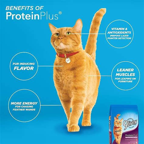 9 Lives Protein Plus With Chicken And Tuna Flavors Dry Cat Food 132 Lb