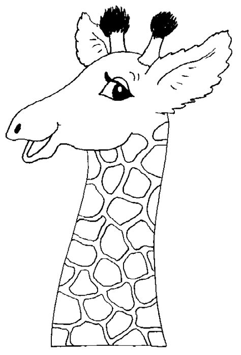 Cou Et Tete D Une Girafe 521×768 Giraffe Coloring Pages Animal