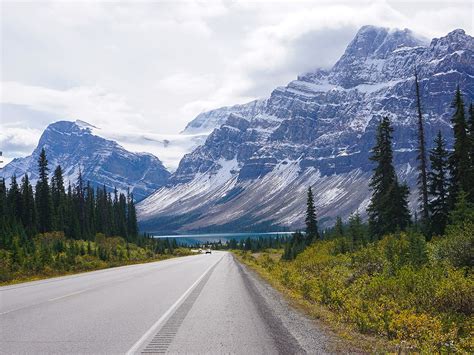 Book your tickets online for peyto lake, lake louise: Lake Louise to Bow Summit and Back Road Biking | 10Adventures
