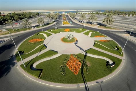 Dubai Municipality Plants 44000 Trees Across 172ha In 2018