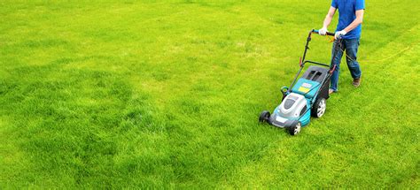 Before any repair work is done, be sure you're clear on what kind of work is being done (such as fixing the motor), how long it'll take and what it'll cost. What Does Lawn Care Service Includes and How Much Does it Cost?
