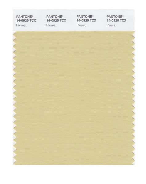 Pantone Smart Color Swatch Card 14 0925 Tcx Parsnip Columbia Omni Studio