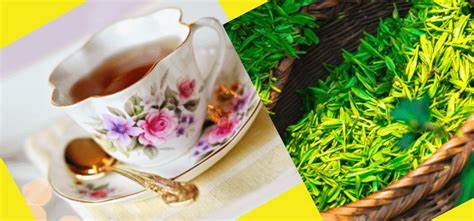 5 напитков для усиления метаболизма Картинка - 5 напитков для усиления метаболизма