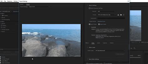 If you are using adobe rush as a single app you won't be able to stabilize videos. Adobe Premiere Pro for Windows Free Download Softmany ...