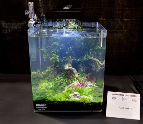 Aquascaping is always evolving and innovative methods of planting aquarium plants along with new hardscape materials pop up all the time. Aquascaping Live! 2016 Small Planted Tanks