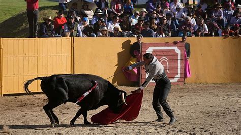 Where Is Bullfighting Still Legal Colombia Ban Sheds Light On Europes Divided Opinion Euronews