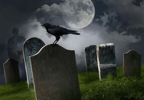 Crow In The Graveyard Haunted Places Creepy Houses Ghosts Paranormal