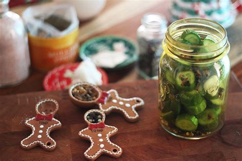 We did not find results for: Six Reasons (and Recipes) to Eat Fermented Pickles ...