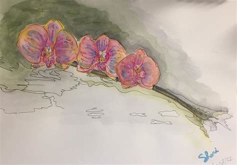Orchids Painting By Sheri Peters Fine Art America