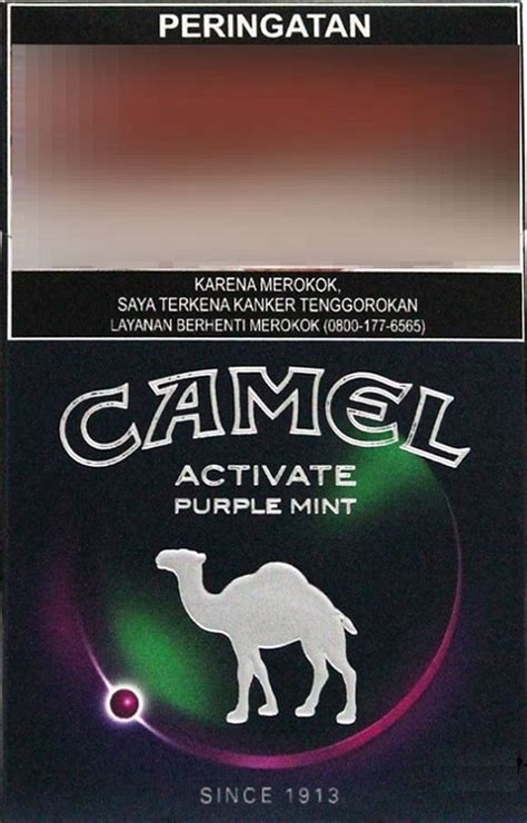 Changement La fourniture Le propriétaire camel active gr 9 5 Pas