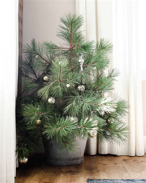 Your Ultimate Guide To Selecting The Best Real Christmas Tree Real