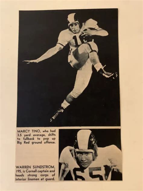 Marcy Tino Warren Sundstrom Cornell Big Red 1960 Sands Football Pictorial Co Panel 1600 Picclick