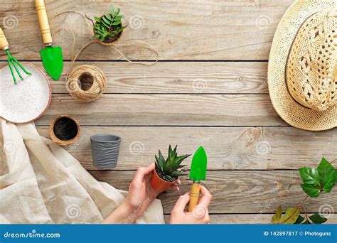 Planting A Plant With Gardening Tools On Wooden Table Flat Lay View