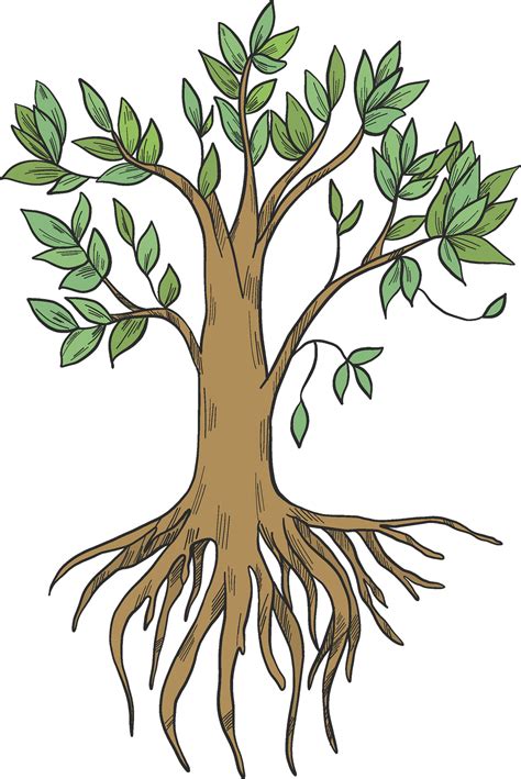 Tree With Roots Clipart Png Allesandra92