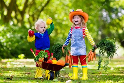 03 99 34 / 89 96 46 +++. Niños recogiendo vegetales en granja orgánica — Foto de ...
