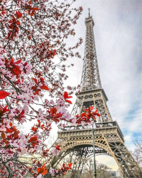 Spring Time In Paris Beautiful Paris Eiffel Tower Paris Photography