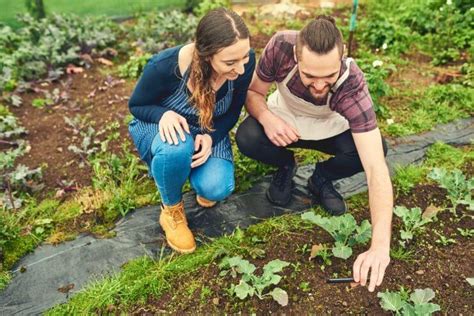 12 Best Vegetable Gardening Instagram Accounts For Tips, Photos, and