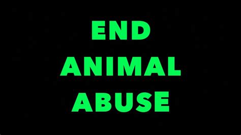 End Animal Abuse Youtube