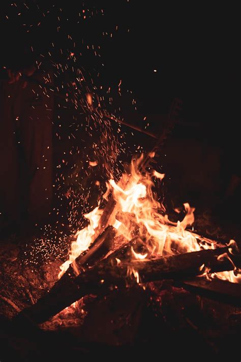 Fire In The Middle Of The Forest Photo Free Fire Image On Unsplash