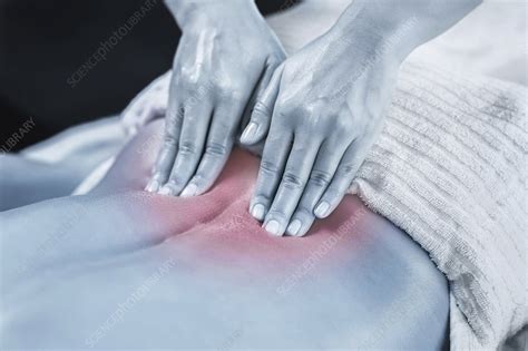 sports massage therapy stock image f024 7816 science photo library